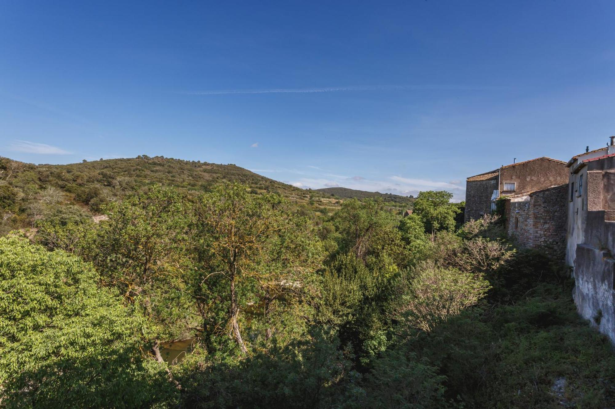 Cosy Apartment In Ancient Gabian With River And Vineyard Views Екстер'єр фото