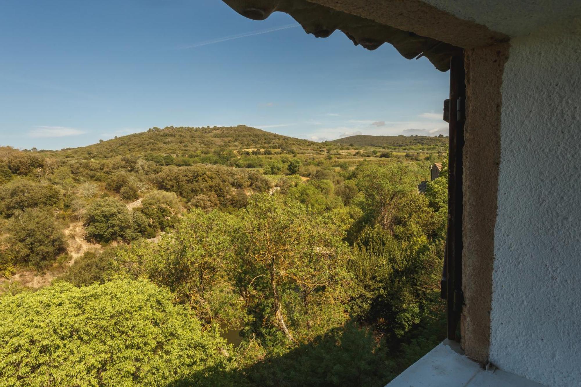 Cosy Apartment In Ancient Gabian With River And Vineyard Views Екстер'єр фото